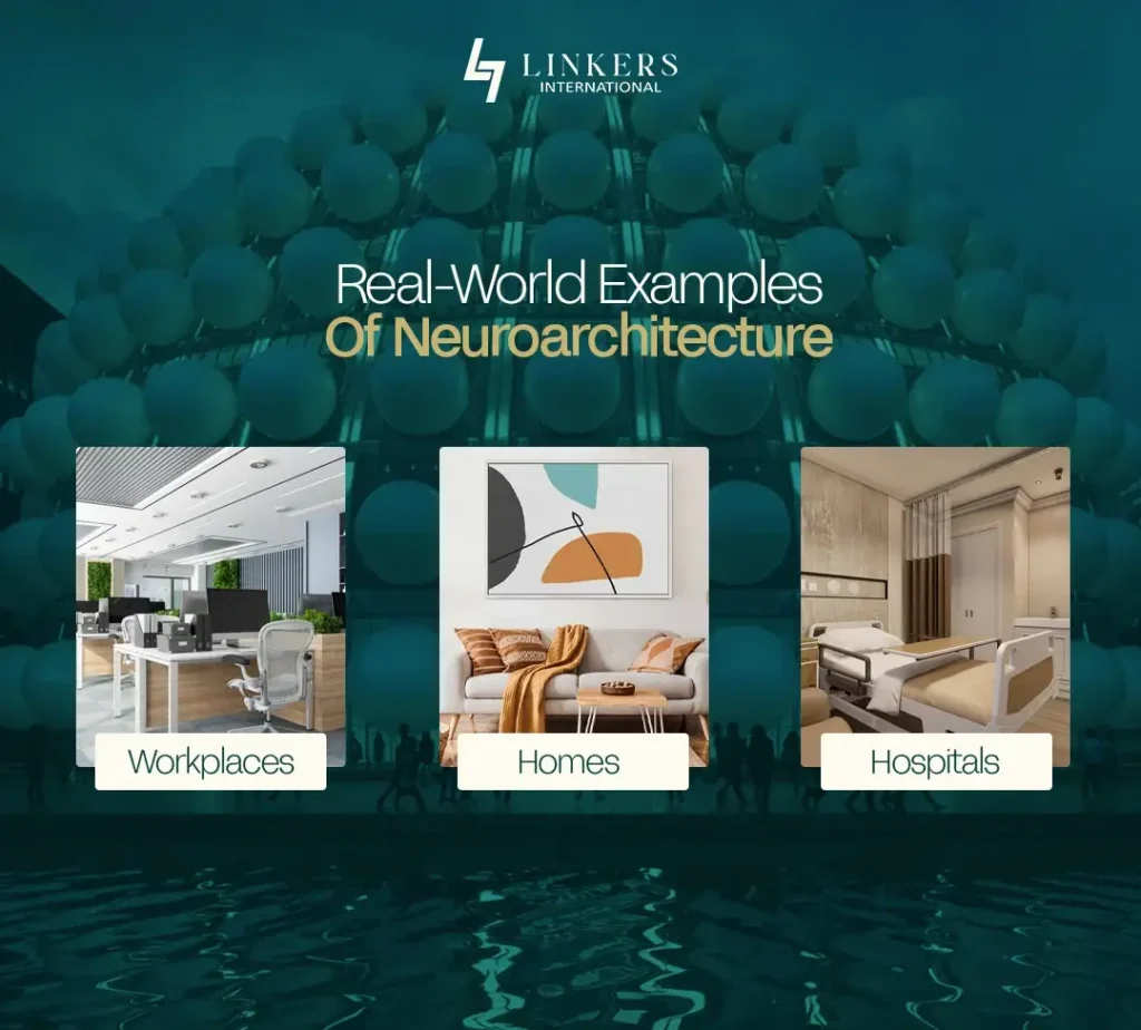 Neuroarchitecture
