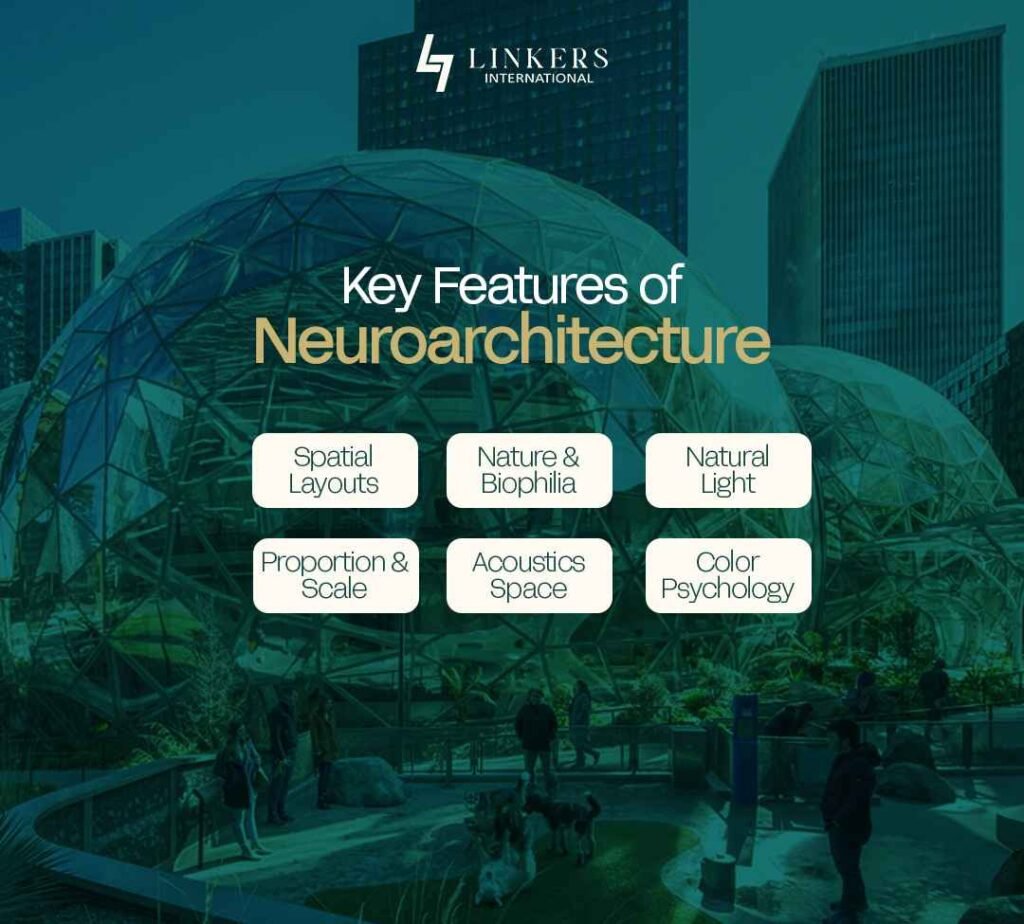 Neuroarchitecture